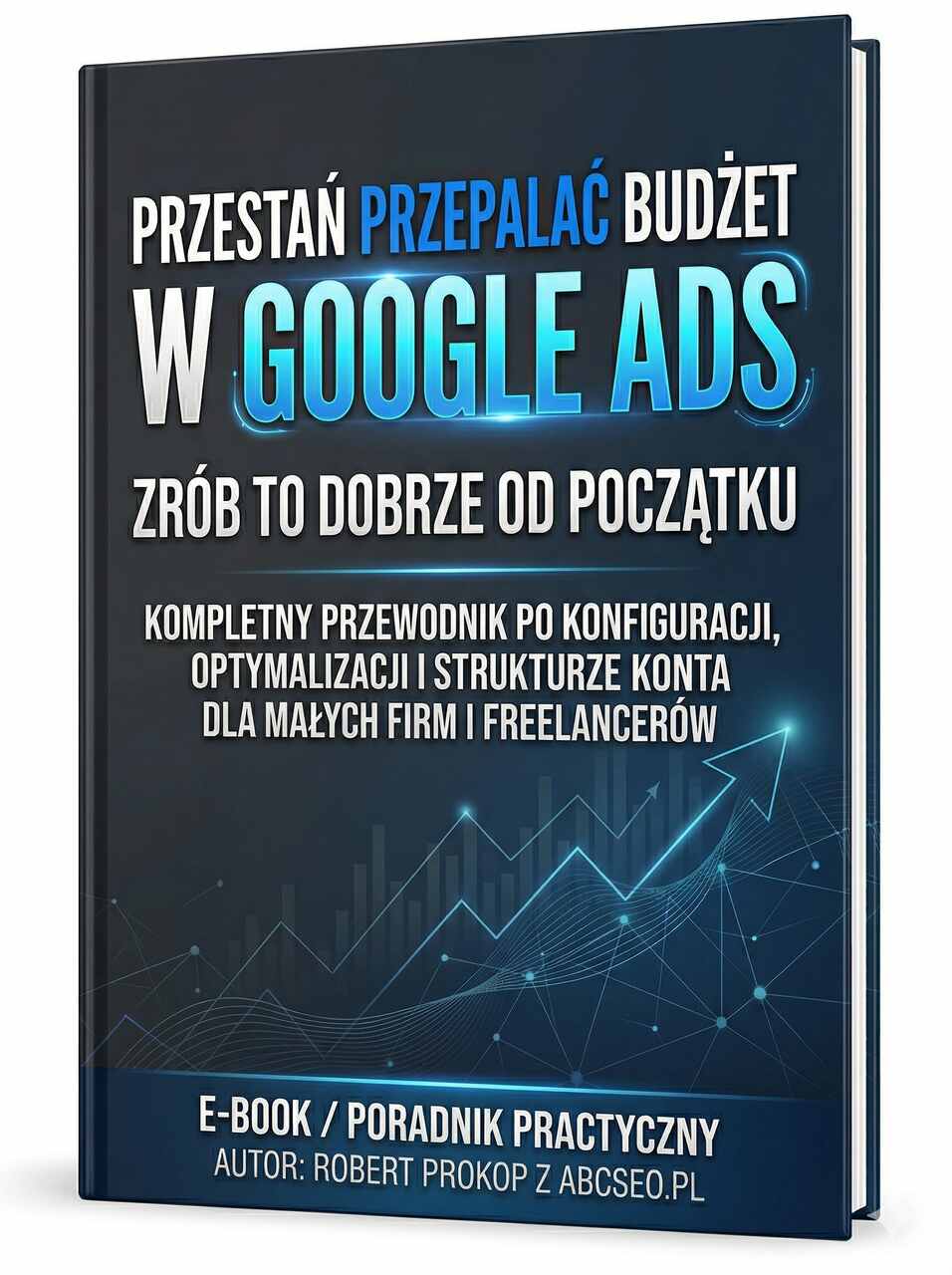 Darmowy e-book o ograniczaniu strat budżetu w Google Ads